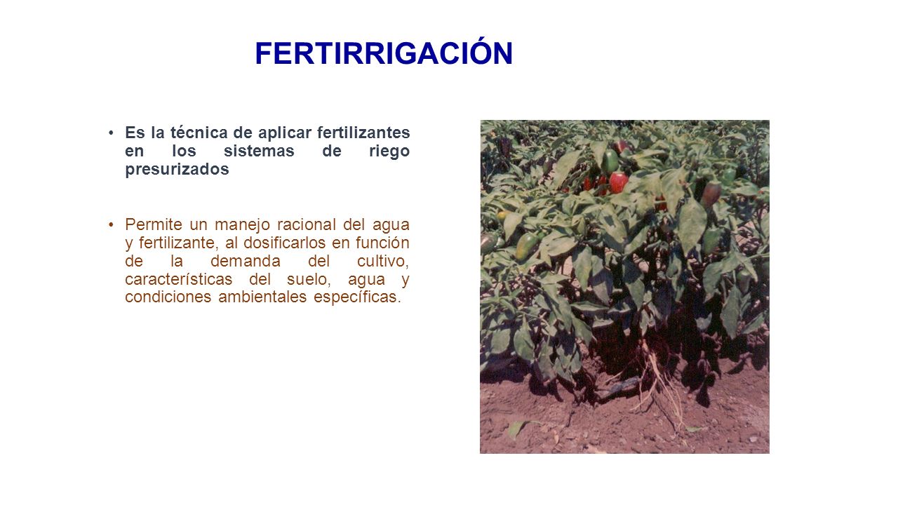 FERTIRRIGACIÓN Es la técnica de aplicar fertilizantes en los sistemas de riego presurizados.