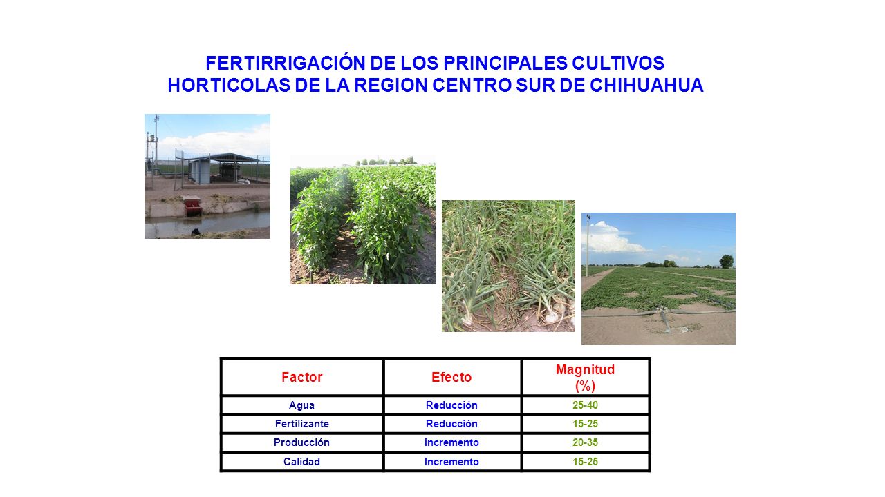 FERTIRRIGACIÓN DE LOS PRINCIPALES CULTIVOS HORTICOLAS DE LA REGION CENTRO SUR DE CHIHUAHUA