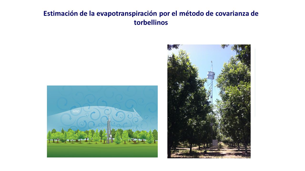 Estimación de la evapotranspiración por el método de covarianza de torbellinos