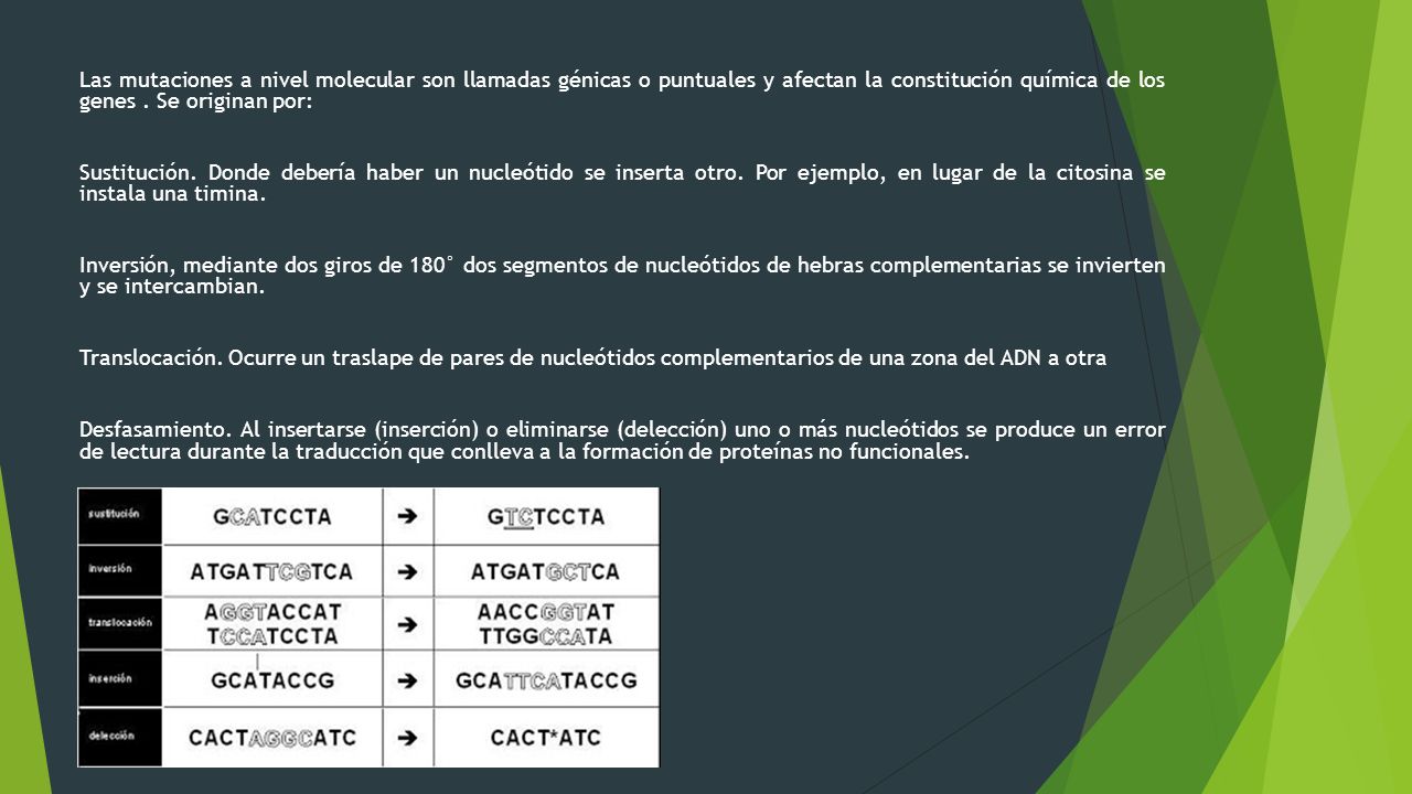 Las mutaciones a nivel molecular son llamadas génicas o puntuales y afectan la constitución química de los genes .
