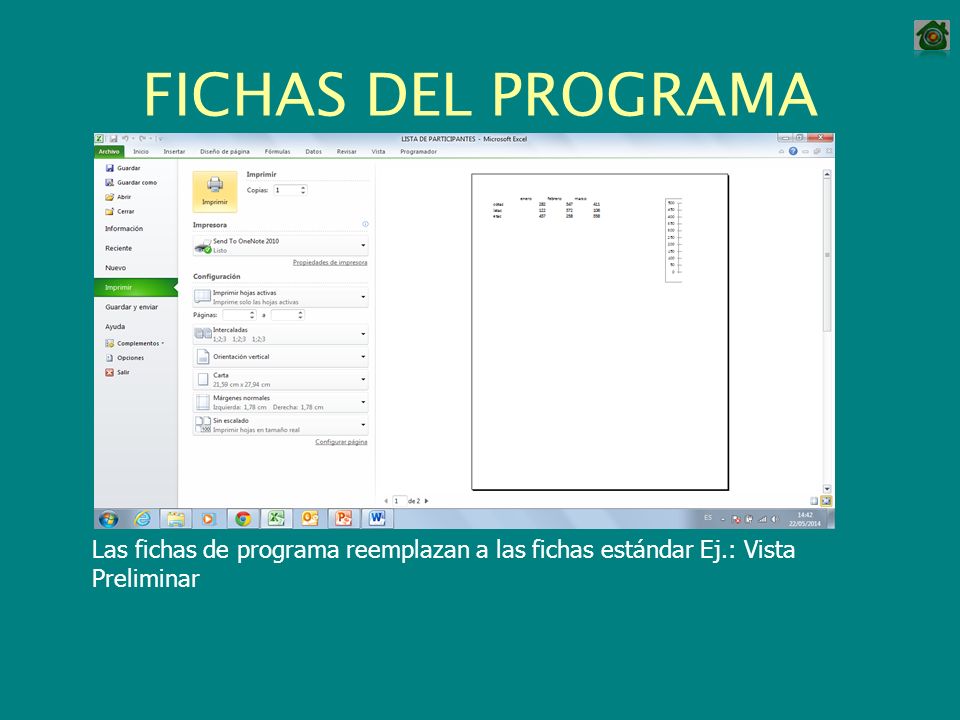 FICHAS DEL PROGRAMA Las fichas de programa reemplazan a las fichas estándar Ej.: Vista Preliminar