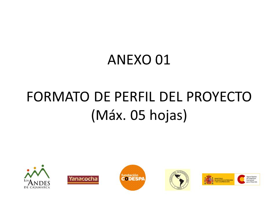 ANEXO 01 FORMATO DE PERFIL DEL PROYECTO (Máx. 05 hojas)
