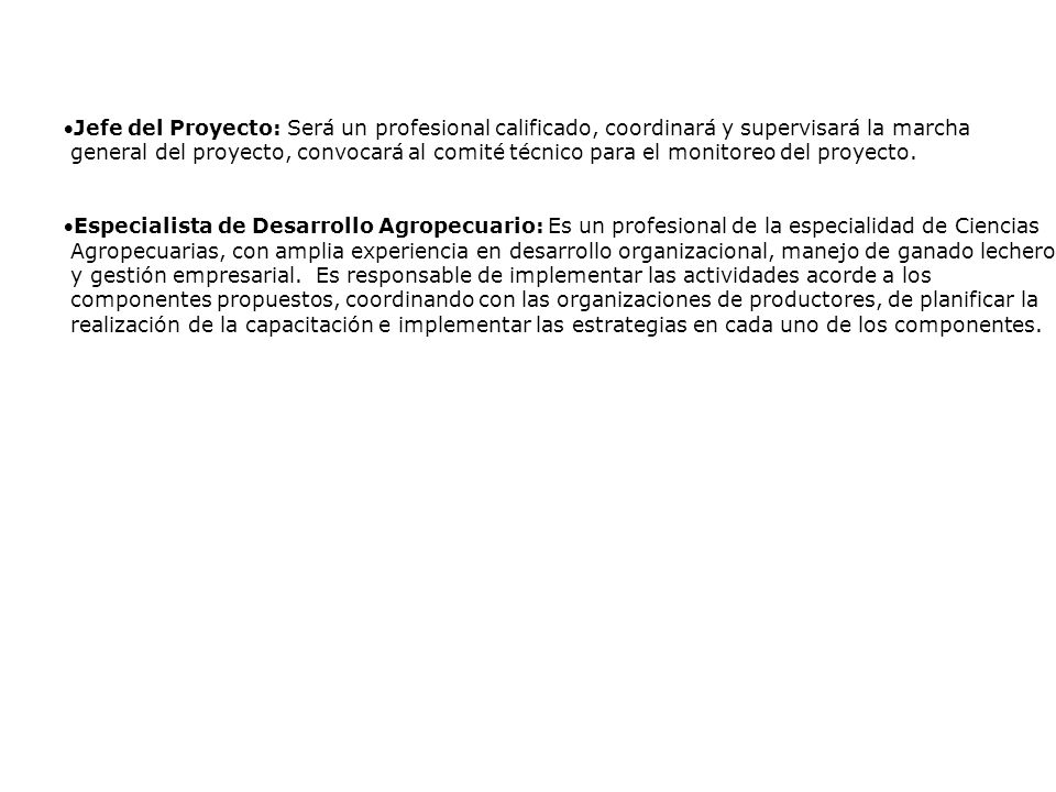 Jefe del Proyecto: Será un profesional calificado, coordinará y supervisará la marcha