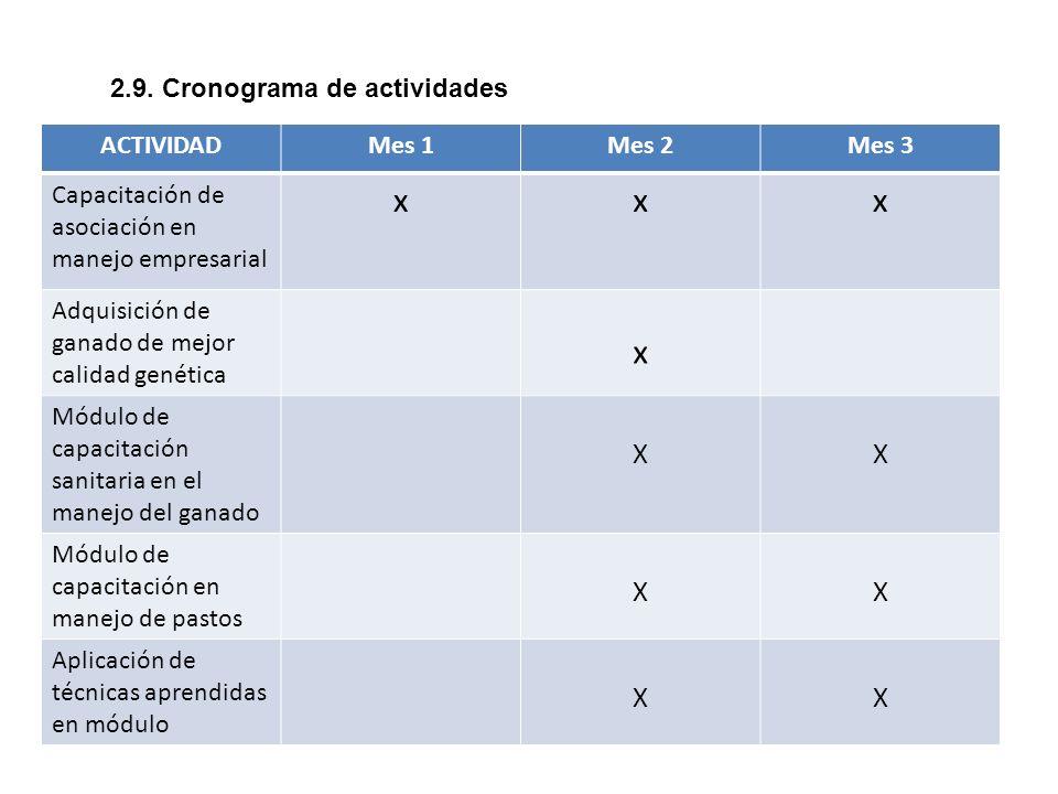 x X 2.9. Cronograma de actividades ACTIVIDAD Mes 1 Mes 2 Mes 3
