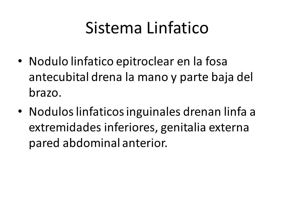 Sistema Linfatico Nodulo linfatico epitroclear en la fosa antecubital drena la mano y parte baja del brazo.