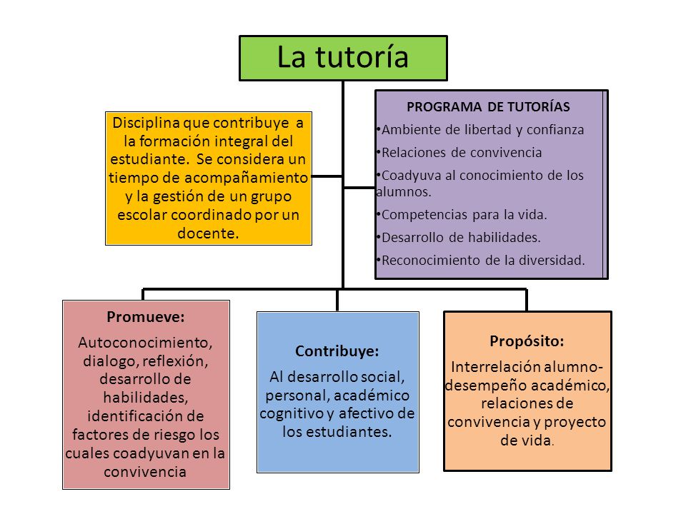 La tutoría PROGRAMA DE TUTORÍAS. Ambiente de libertad y confianza. Relaciones de convivencia. Coadyuva al conocimiento de los alumnos.