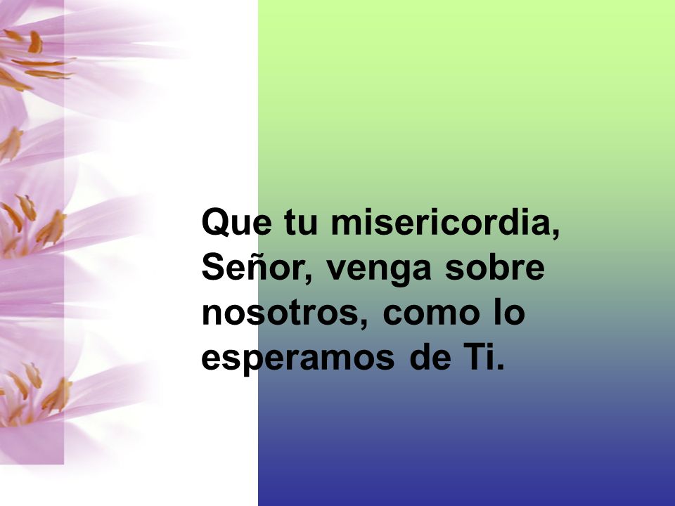 Que tu misericordia, Señor, venga sobre nosotros, como lo esperamos de Ti.