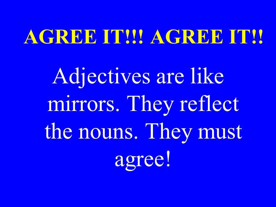 Adjectives are like mirrors. They reflect the nouns. They must agree!