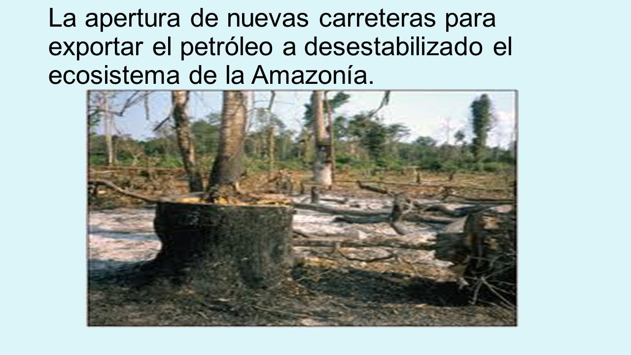 La apertura de nuevas carreteras para exportar el petróleo a desestabilizado el ecosistema de la Amazonía.