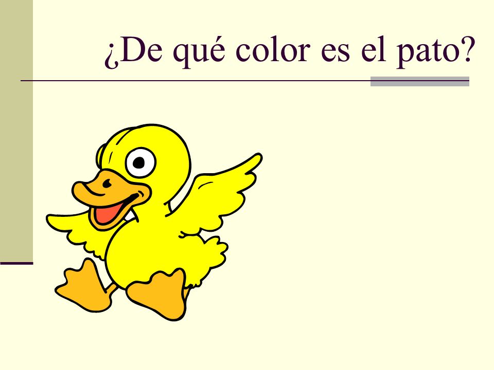 ¿De qué color es el pato