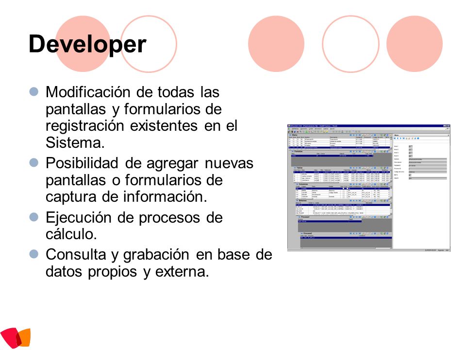 Developer Modificación de todas las pantallas y formularios de registración existentes en el Sistema.