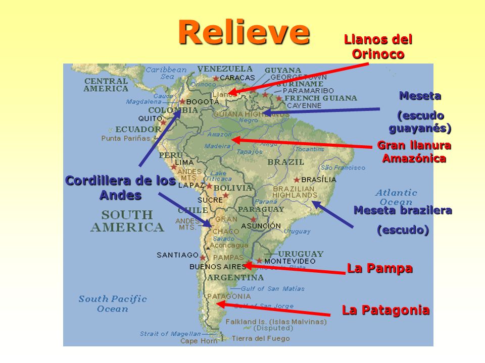Gran llanura Amazónica Cordillera de los Andes