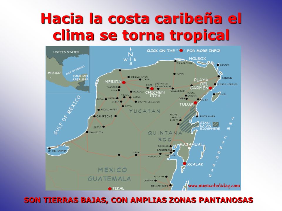 Hacia la costa caribeña el clima se torna tropical