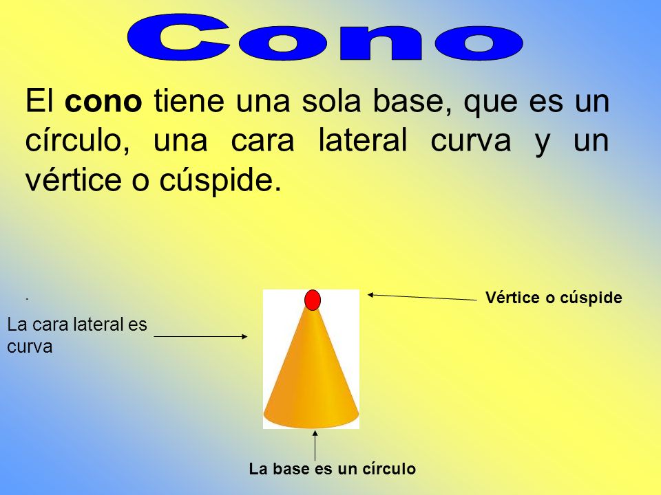 Cono El cono tiene una sola base, que es un círculo, una cara lateral curva y un vértice o cúspide.