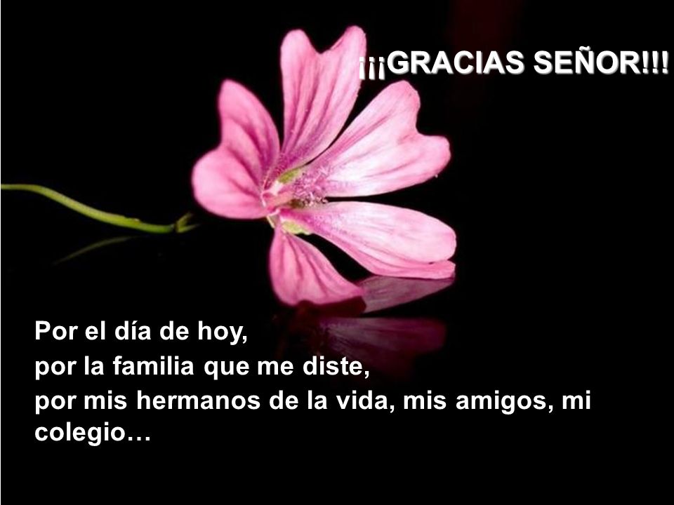 ¡¡¡GRACIAS SEÑOR!!! Por el día de hoy, por la familia que me diste,