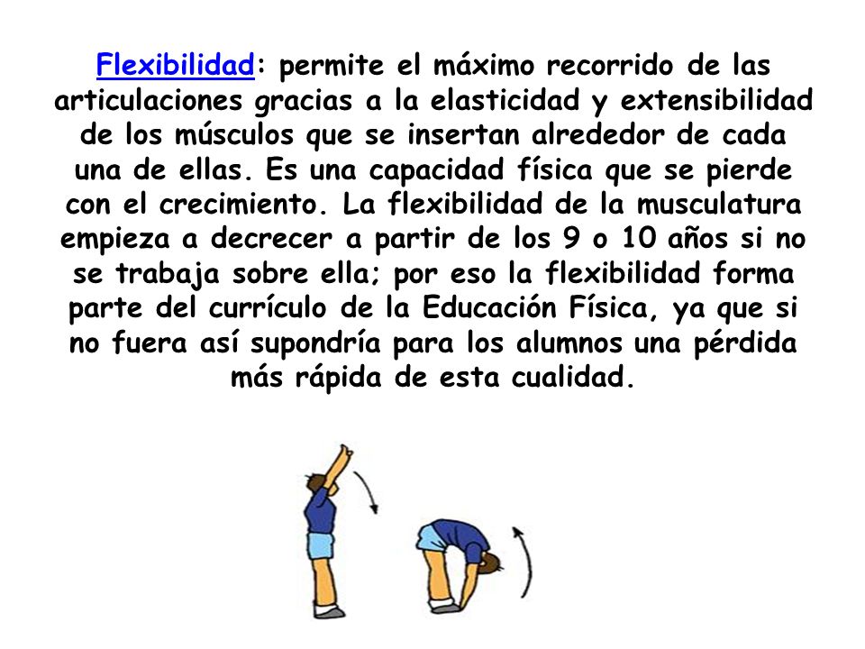 Flexibilidad: permite el máximo recorrido de las articulaciones gracias a la elasticidad y extensibilidad de los músculos que se insertan alrededor de cada una de ellas.