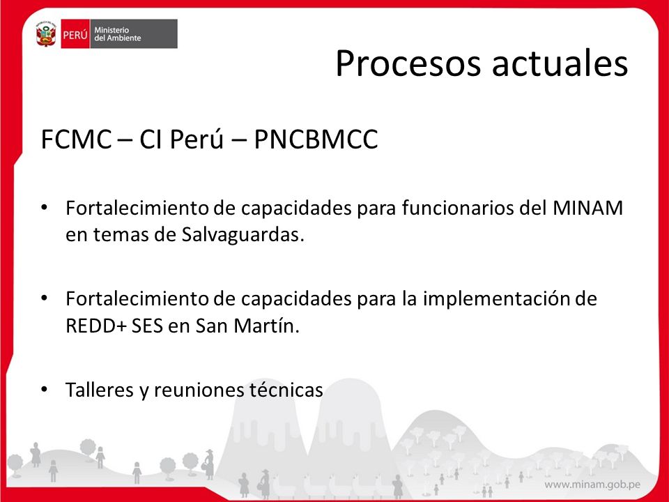 Procesos actuales FCMC – CI Perú – PNCBMCC