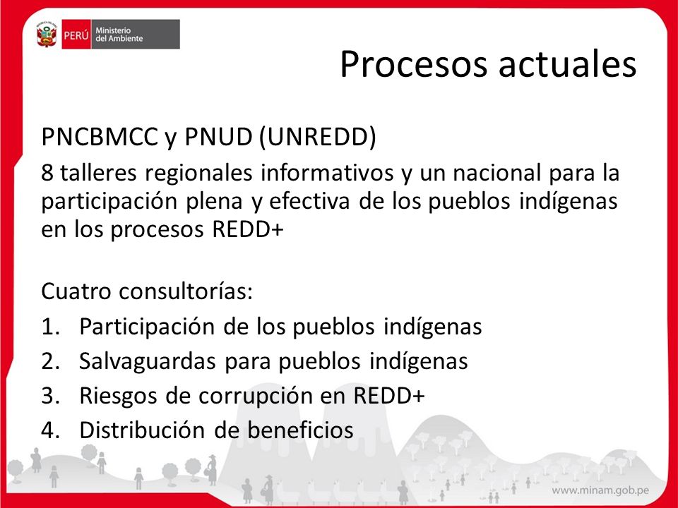 Procesos actuales PNCBMCC y PNUD (UNREDD)