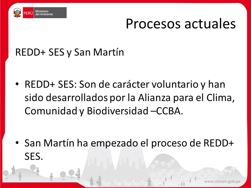 Procesos actuales REDD+ SES y San Martín
