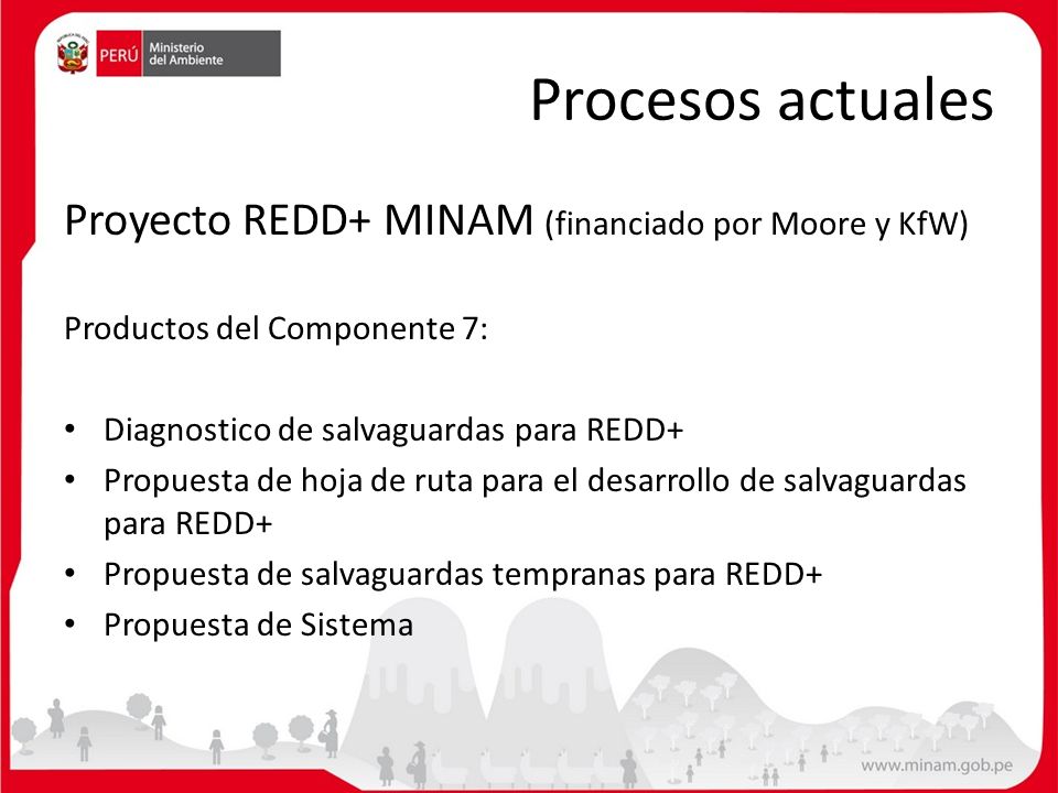 Procesos actuales Proyecto REDD+ MINAM (financiado por Moore y KfW)
