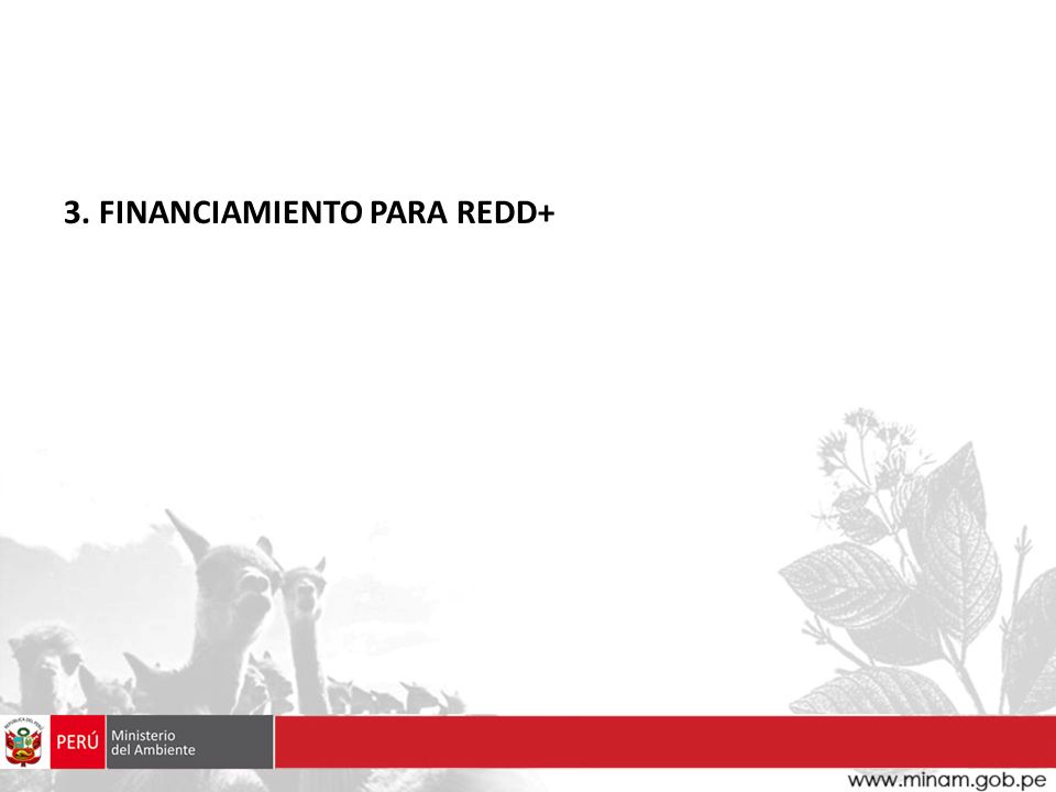 3. FINANCIAMIENTO PARA REDD+