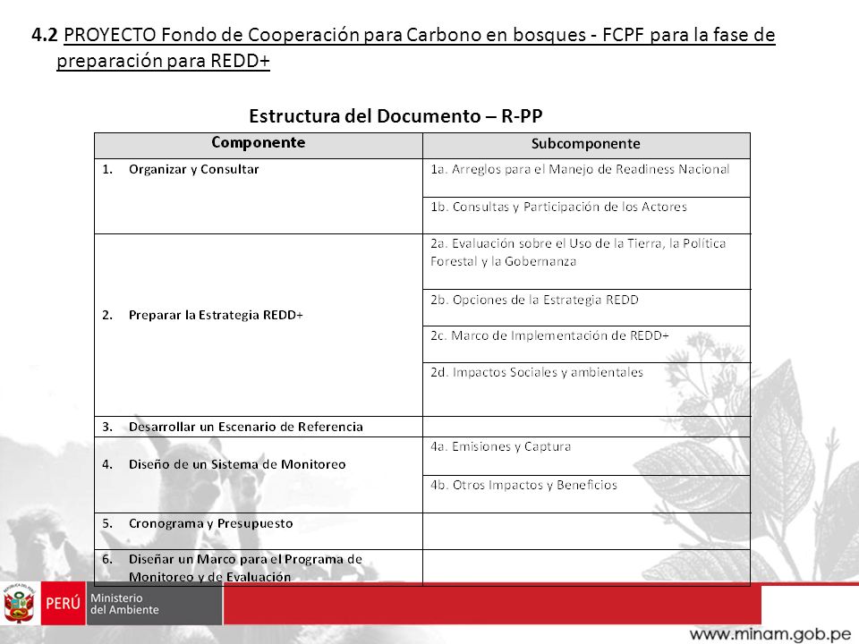 4.2 PROYECTO Fondo de Cooperación para Carbono en bosques - FCPF para la fase de preparación para REDD+