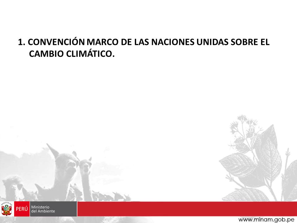 1. CONVENCIÓN MARCO DE LAS NACIONES UNIDAS SOBRE EL CAMBIO CLIMÁTICO.