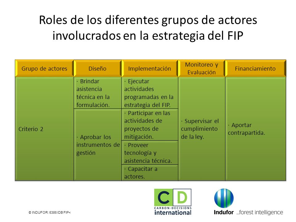 Roles de los diferentes grupos de actores involucrados en la estrategia del FIP