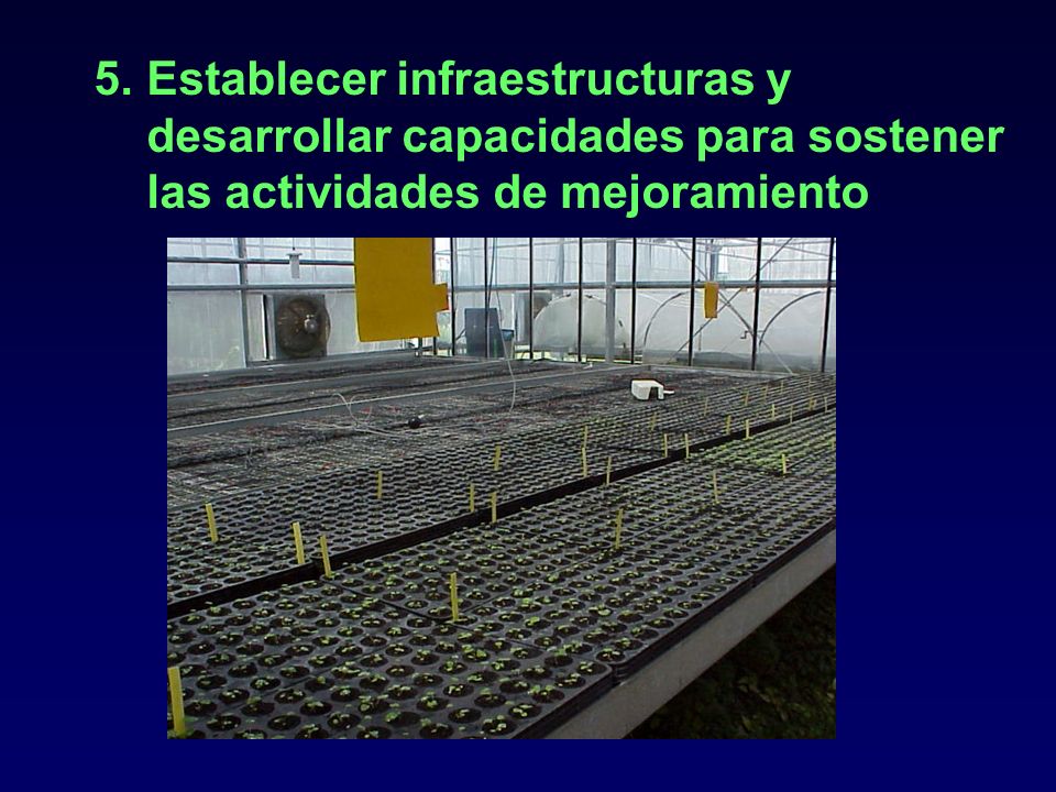 Establecer infraestructuras y desarrollar capacidades para sostener las actividades de mejoramiento