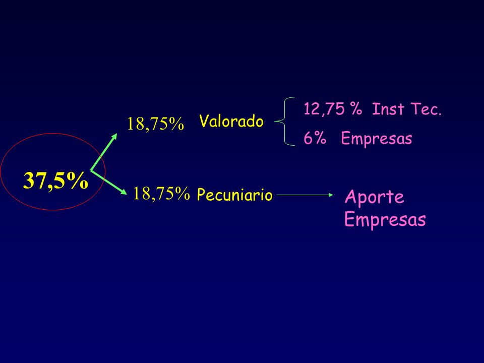 37,5% 18,75% 18,75% Aporte Empresas 12,75 % Inst Tec. 6% Empresas