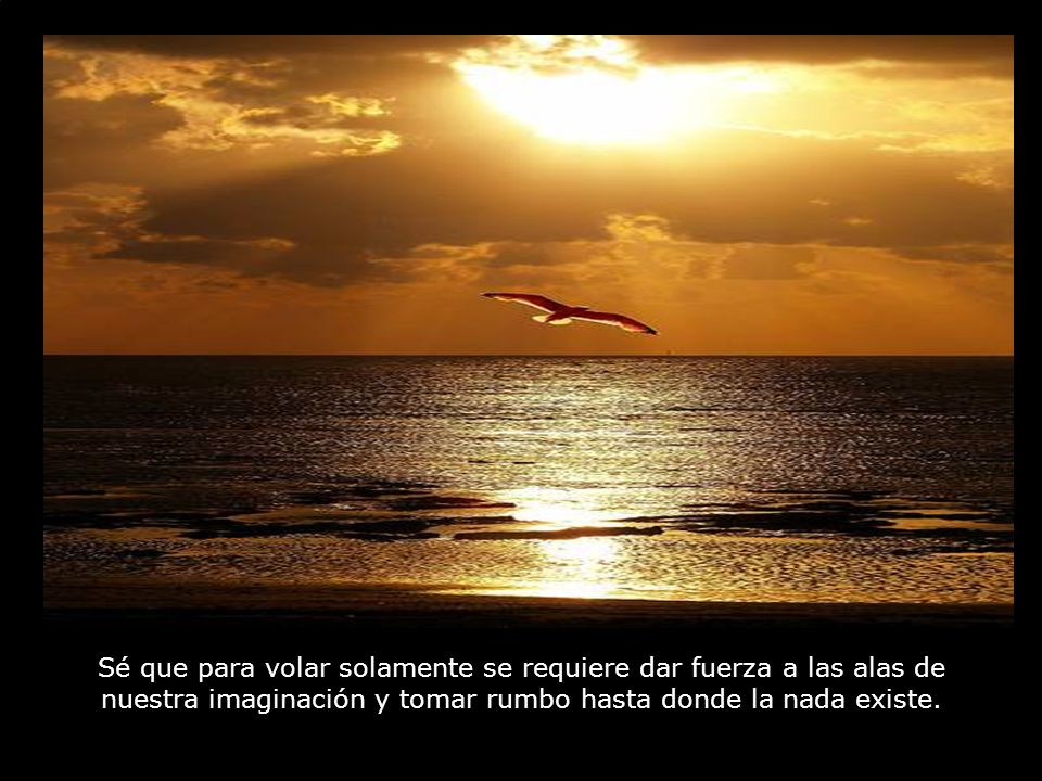 Sé que para volar solamente se requiere dar fuerza a las alas de nuestra imaginación y tomar rumbo hasta donde la nada existe.