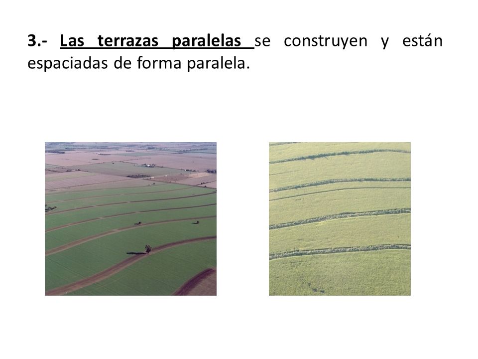 3.- Las terrazas paralelas se construyen y están espaciadas de forma paralela.