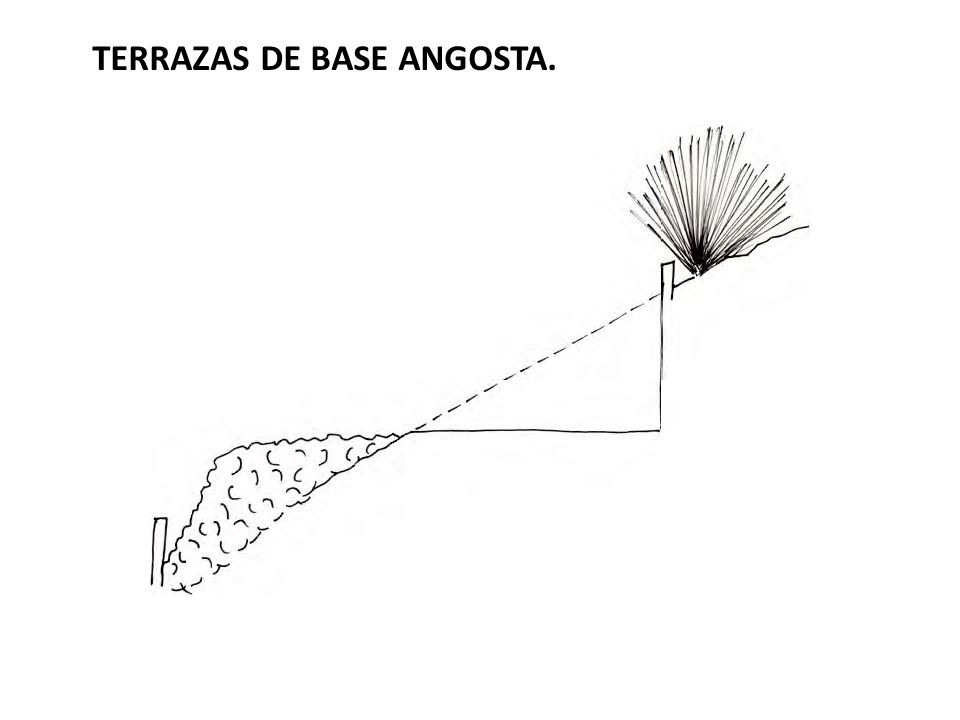 TERRAZAS DE BASE ANGOSTA.