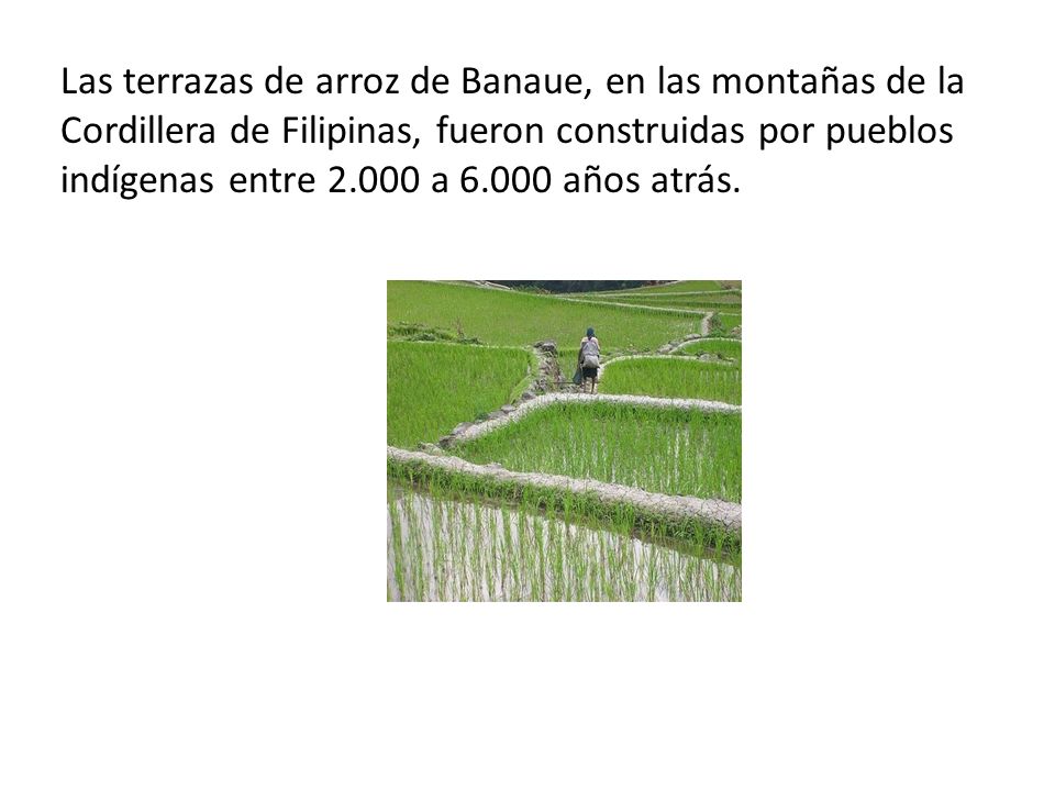 Las terrazas de arroz de Banaue, en las montañas de la Cordillera de Filipinas, fueron construidas por pueblos indígenas entre a años atrás.