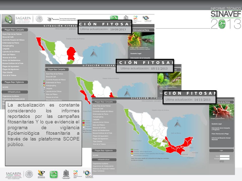 La actualización es constante considerando los informes reportados por las campañas fitosanitarias Y lo que evidencia el programa de vigilancia Epidemiológica fitosanitaria a través de las plataforma SCOPE público.