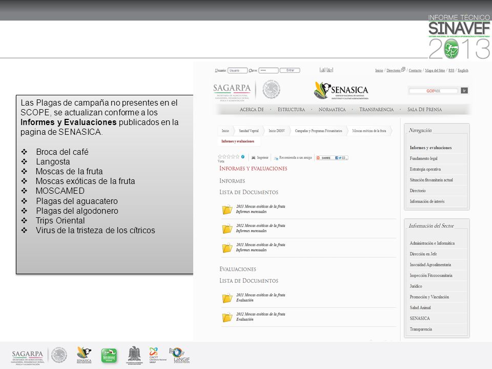 Las Plagas de campaña no presentes en el SCOPE, se actualizan conforme a los Informes y Evaluaciones publicados en la pagina de SENASICA.