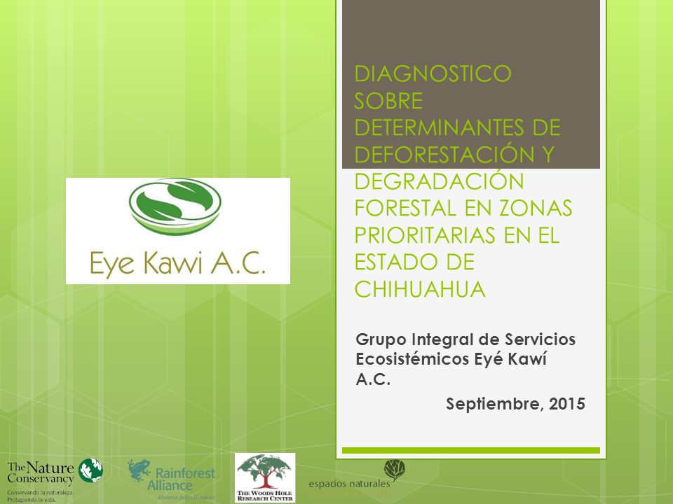 DIAGNOSTICO SOBRE DETERMINANTES DE DEFORESTACIÓN Y DEGRADACIÓN FORESTAL EN ZONAS PRIORITARIAS EN EL ESTADO DE CHIHUAHUA