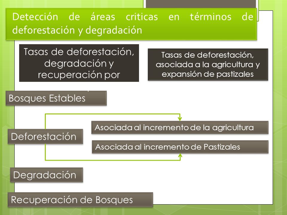 Tasas de deforestación, degradación y recuperación por municipio