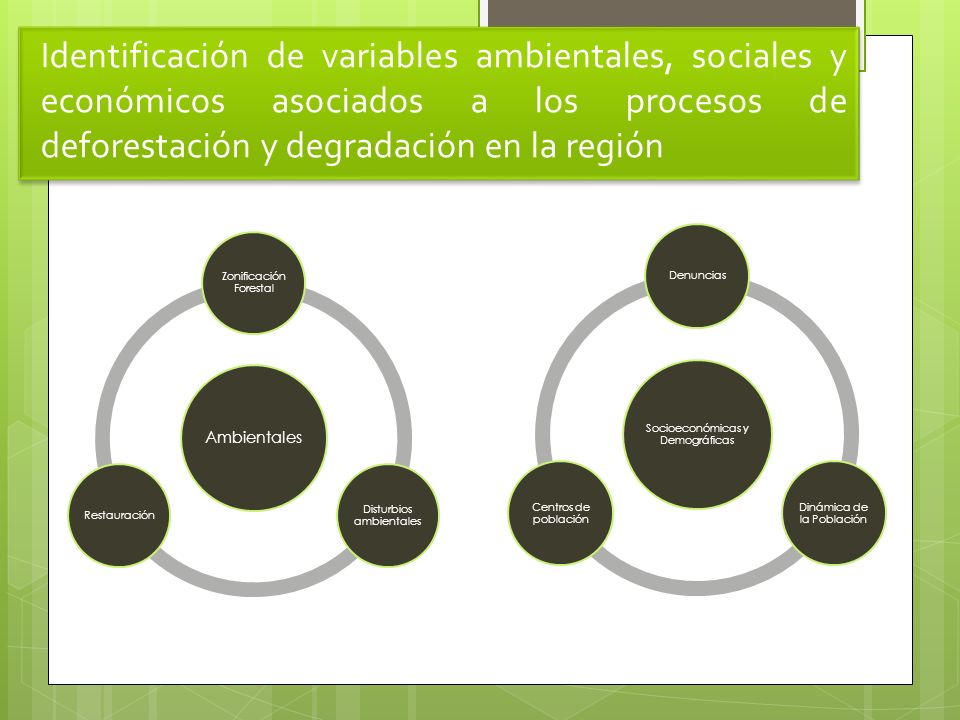 Identificación de variables ambientales, sociales y económicos asociados a los procesos de deforestación y degradación en la región