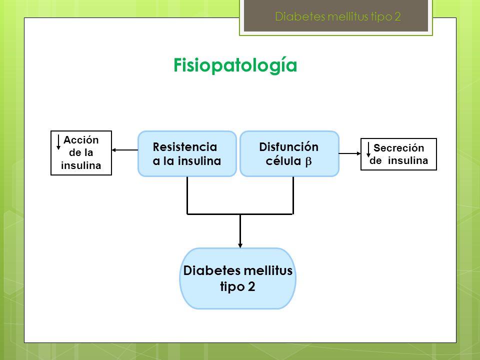 Fisiopatología Diabetes mellitus tipo 2 Resistencia a la insulina