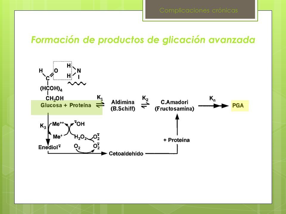 Formación de productos de glicación avanzada