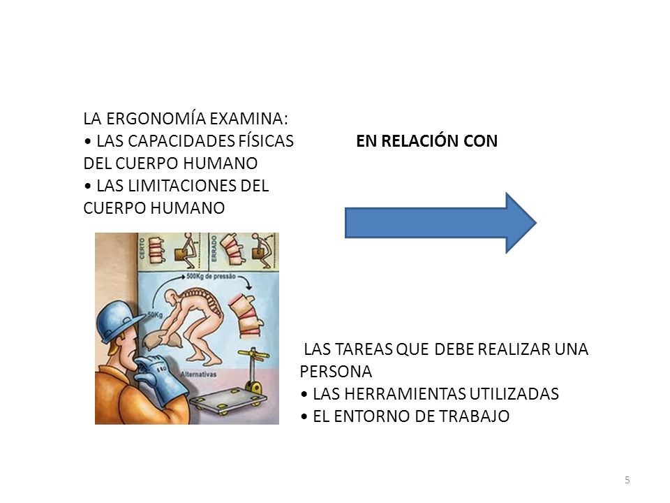 LA ERGONOMÍA EXAMINA: • LAS CAPACIDADES FÍSICAS EN RELACIÓN CON. DEL CUERPO HUMANO. • LAS LIMITACIONES DEL.