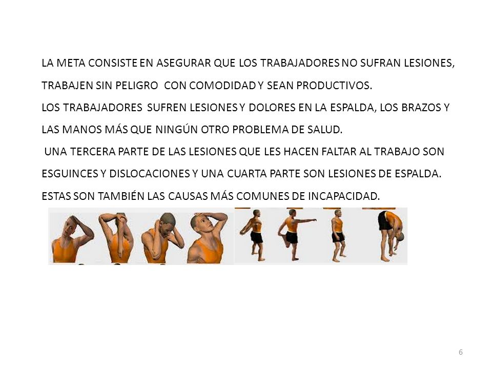 LA META CONSISTE EN ASEGURAR QUE LOS TRABAJADORES NO SUFRAN LESIONES, TRABAJEN SIN PELIGRO CON COMODIDAD Y SEAN PRODUCTIVOS.