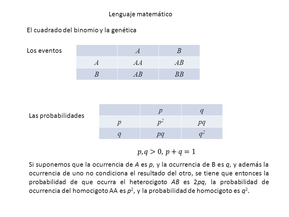 Lenguaje matemático El cuadrado del binomio y la genética. Los eventos. A. B. AA. AB. BB. p.