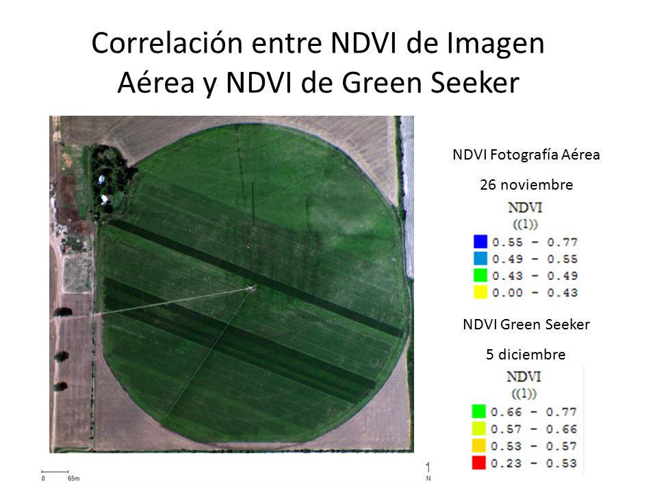 Correlación entre NDVI de Imagen Aérea y NDVI de Green Seeker