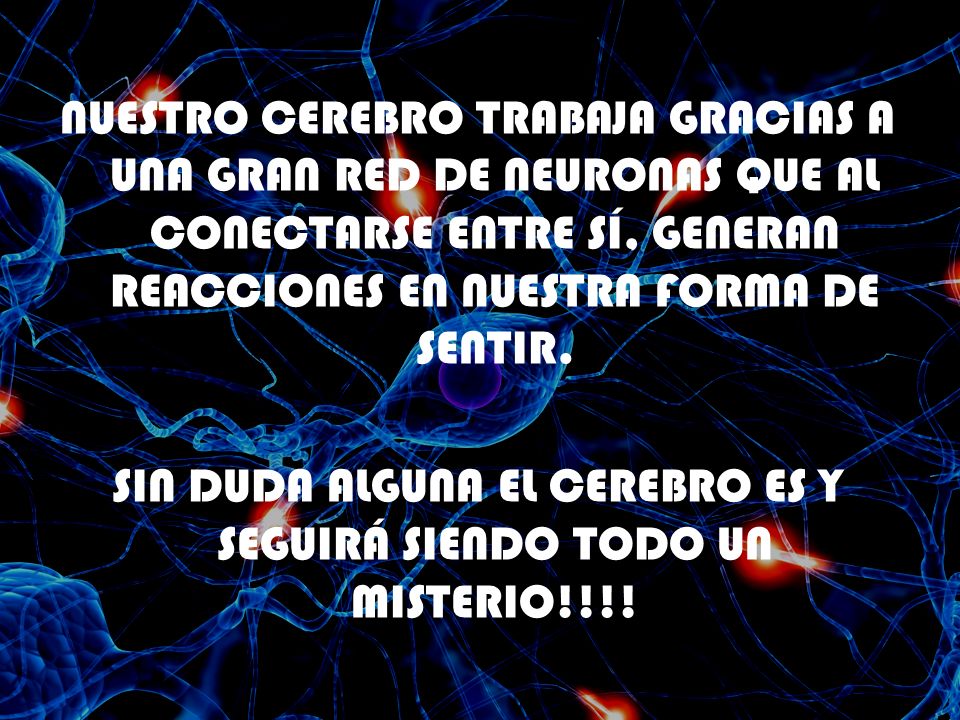 NUESTRO CEREBRO TRABAJA GRACIAS A UNA GRAN RED DE NEURONAS QUE AL CONECTARSE ENTRE SÍ, GENERAN REACCIONES EN NUESTRA FORMA DE SENTIR.