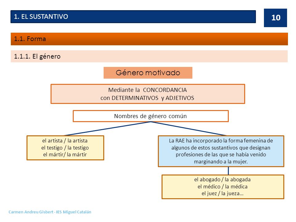 1. EL SUSTANTIVO 1.1. Forma El género Género motivado