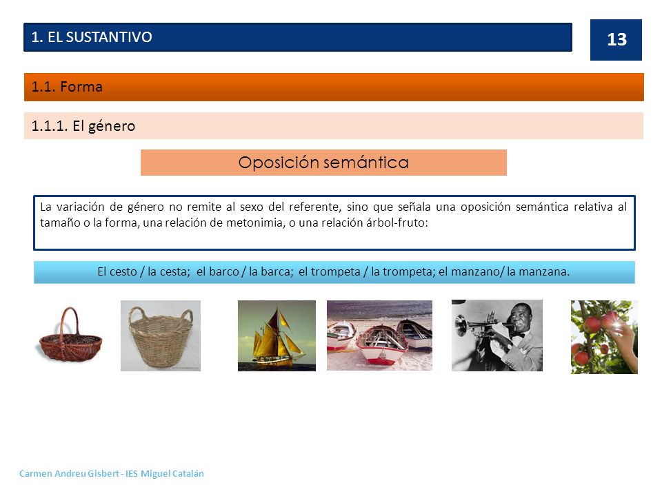 1. EL SUSTANTIVO 1.1. Forma El género Oposición semántica