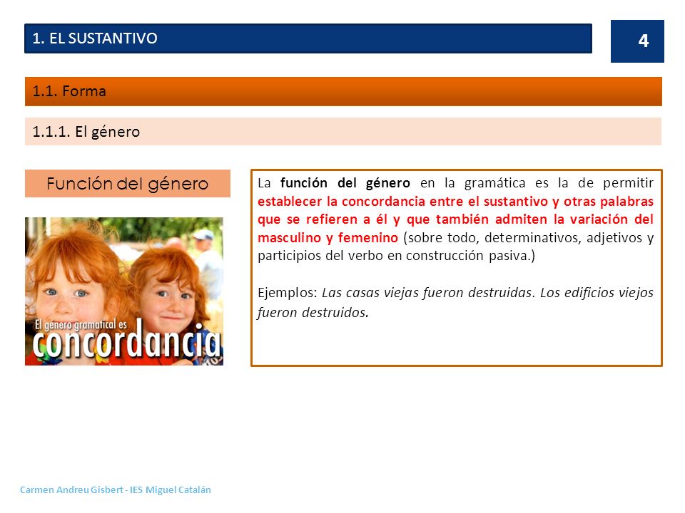 1. EL SUSTANTIVO 1.1. Forma El género Función del género