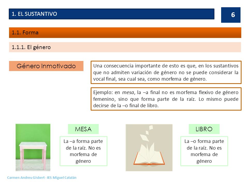 1. EL SUSTANTIVO 1.1. Forma El género Género inmotivado MESA